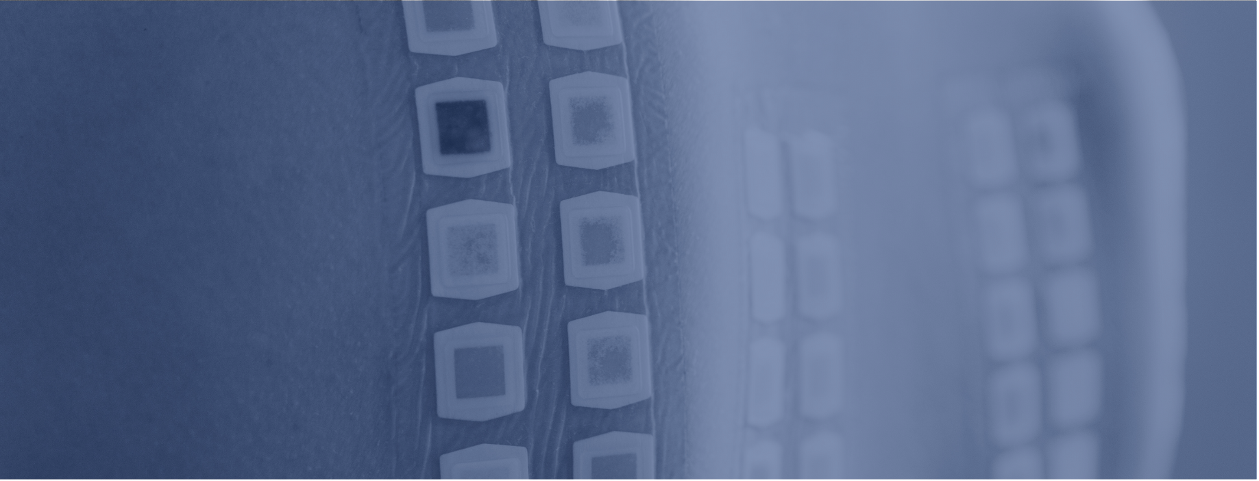 Website Banner - HRPIT Skin Testing