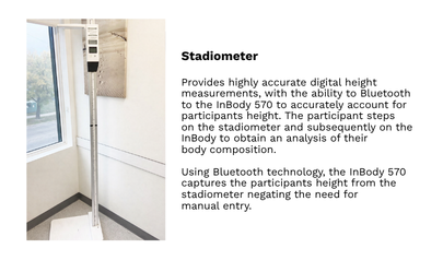 Photograph of our Stadiometer and detailed description